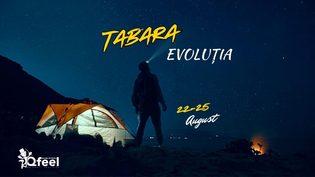 tabara evolutia qfeel